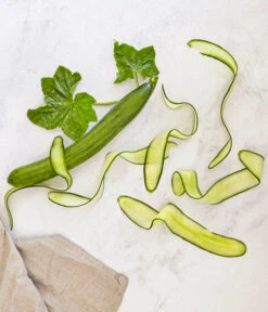 Bioland Gurke, Veredelt -Ecopotos Geschaft 8830853 WE MO 001 SchlangengurkeveredeltRenner