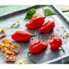 Chili 'Carolina Reaper' -Ecopotos Geschaft 8831133 WE MO 001 ChiliCarolinaReaper