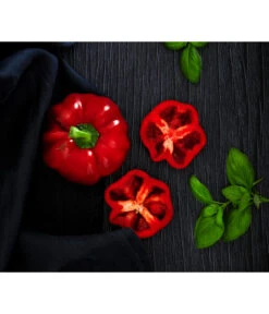 Dehner Gourmet Garten Tomatenpaprika -Ecopotos Geschaft 8831562 WE MO 001 TomatenpaprikaRenner