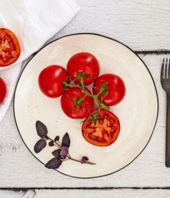 Bioland Buschtomate -Ecopotos Geschaft 8831968 WE MO 001 BiolandBuschtomate