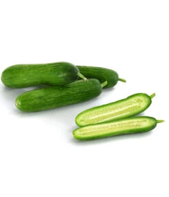 Snackgurke 9 Snackgurke -Ecopotos Geschaft 8833063 8830960 WE DE 001 GourmetGartenSnackgurkeVeredelt