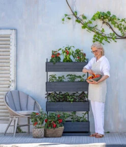 Pick-a-Tom® Cocktailtomate Mit Früchten, Rot -Ecopotos Geschaft 8838757 WE MO 001 HechtHochbeetCube4PickaTom