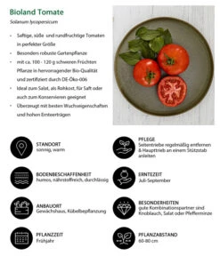 Bioland Tomate, Rundfruchtig -Ecopotos Geschaft 8842619 WE IG 001 BiolandTomate