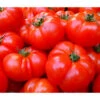 Bioland Fleischtomate -Ecopotos Geschaft 8842627 WE DE 001 BiolandFleischtomate