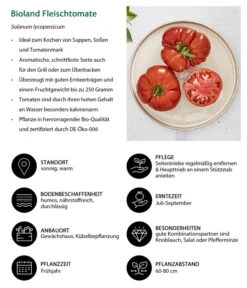 Bioland Fleischtomate -Ecopotos Geschaft 8842627 WE IG 001 BiolandFleischtomate