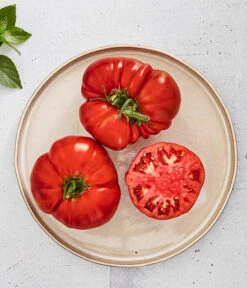 Bioland Fleischtomate -Ecopotos Geschaft 8842627 WE MO 001 BiolandFleischtomate