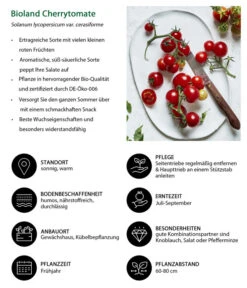Bioland Cherrytomate -Ecopotos Geschaft 8842635 WE IG 001 BiolandCherrytomate