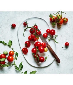 Bioland Cherrytomate -Ecopotos Geschaft 8842635 WE MO 002 Bio Cherrytomate